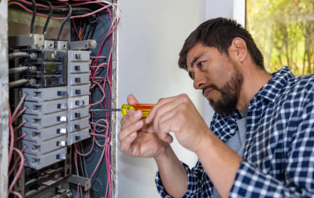 Best Industrial Electrical Services  in Dundas, MN
